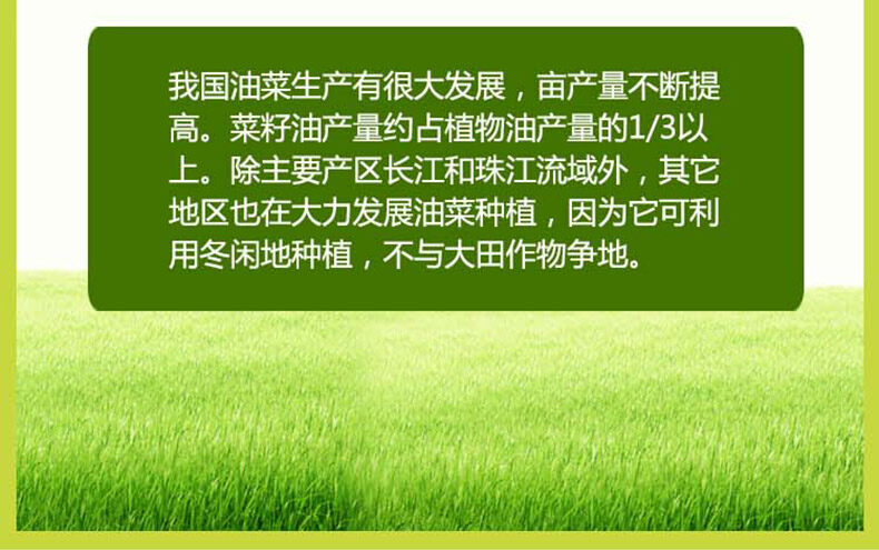 一级菜籽油详情页_08.jpg