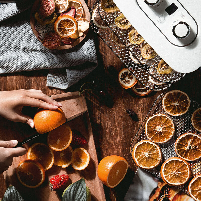 摩飞干果机MR6255 