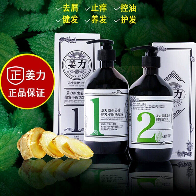 姜力1号原生姜汁健发平衡洗发露500ml