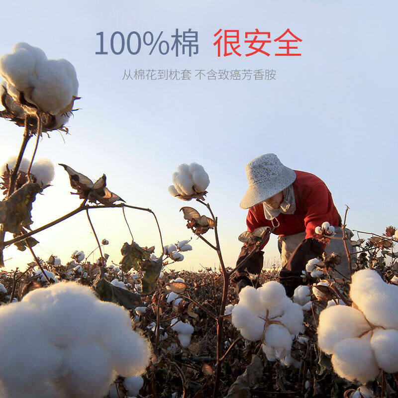 佳奥 泰国波浪形儿童乳胶枕【6-16岁-青少年大童款】 浅蓝色一只