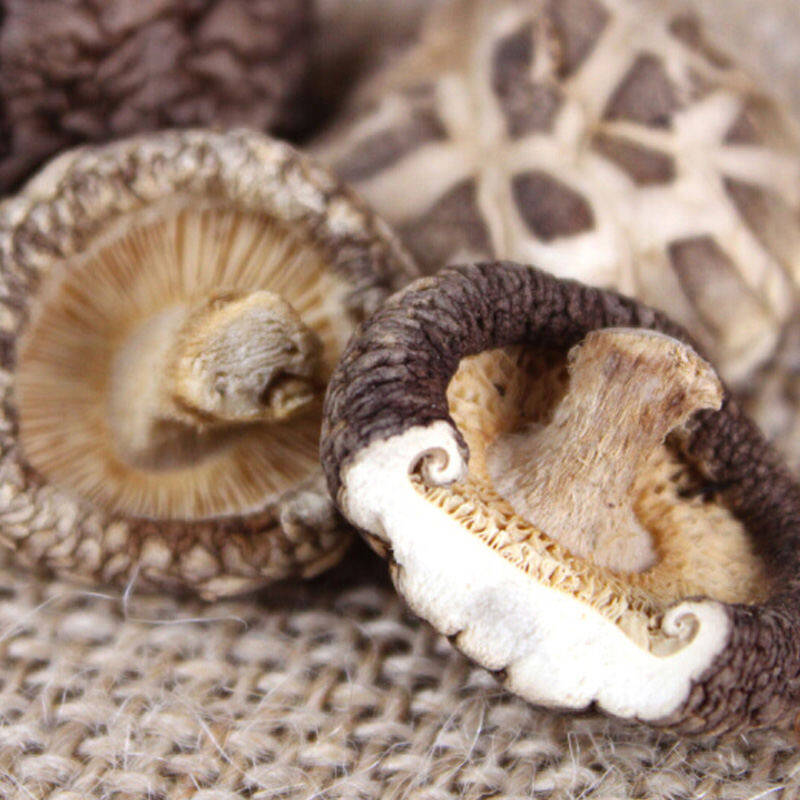 【四川】川珍珍珠菇180g