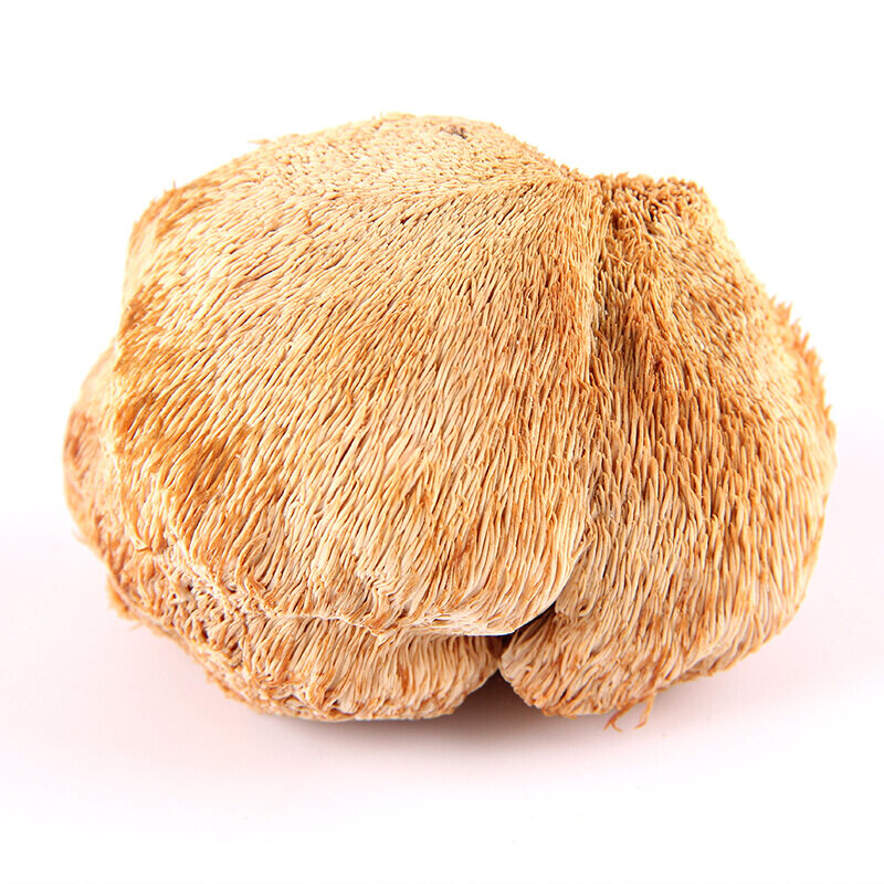 【四川】山真美猴头菇150g