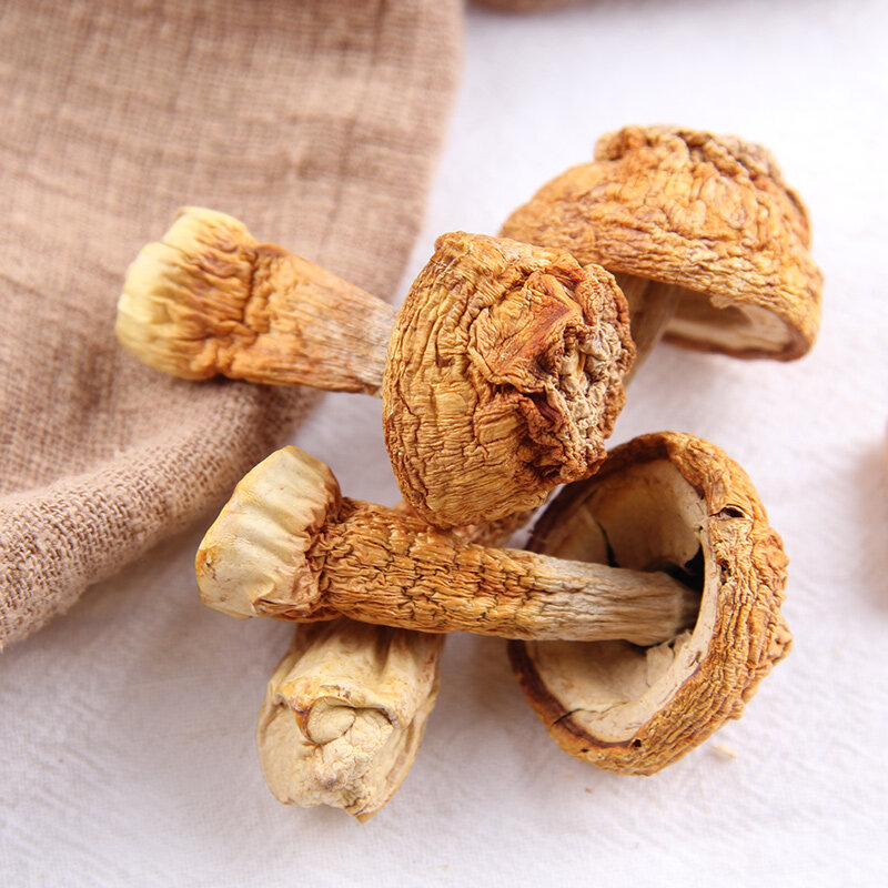 京荟堂姬松茸88g